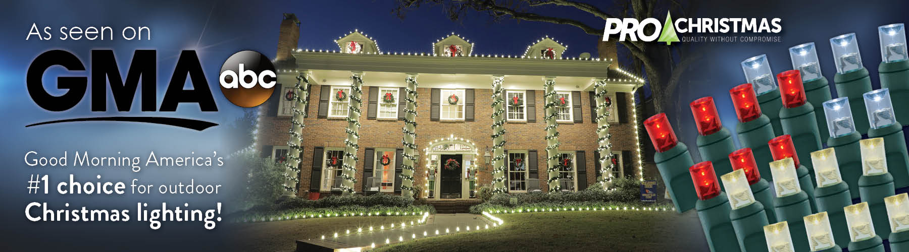 LED Christmas Light Display