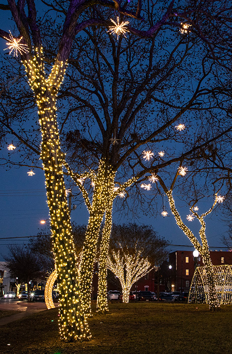LED Starburst Christmas Lights