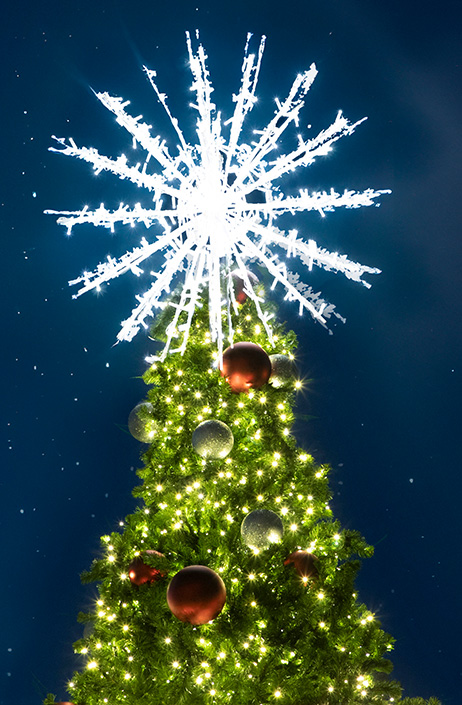 Christmas Tree Toppers