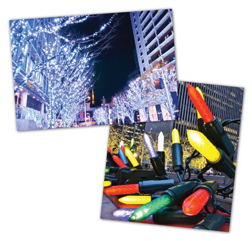 White M5 LED Christmas Lights