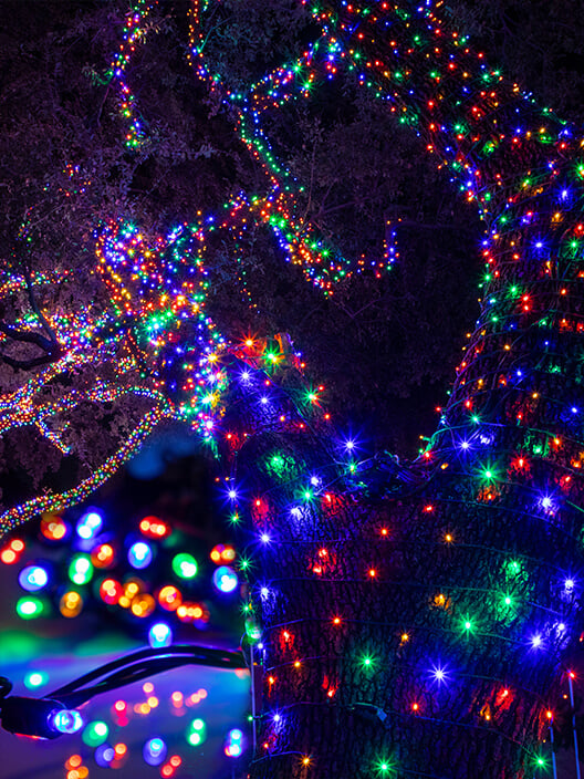 Conical Wrapped Tree - Shop All Conical Lights Conical Wrapped Tree - Shop All Conical Lights