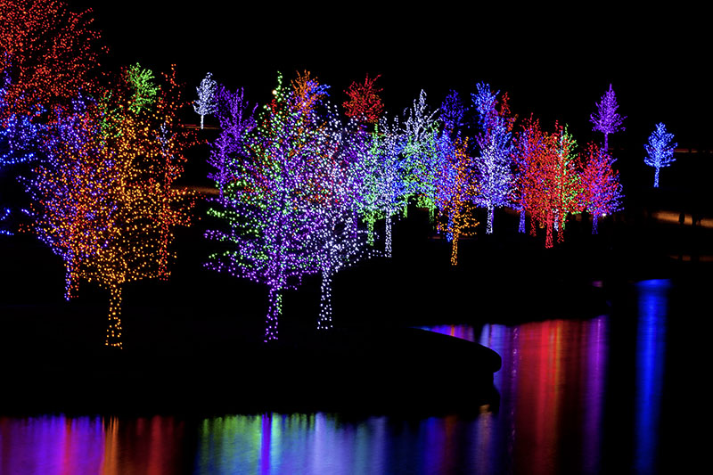 LED Christmas Lights - Various Colors