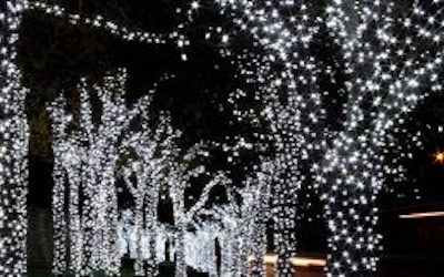 What is the Most Popular Style of LED Christmas Light?
