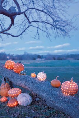 Pumpkins and Lights