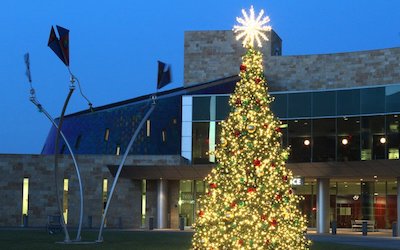 Large Animated LED Outdoor Christmas Trees
