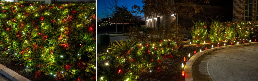 hand lighting bushes and shrubs by hand